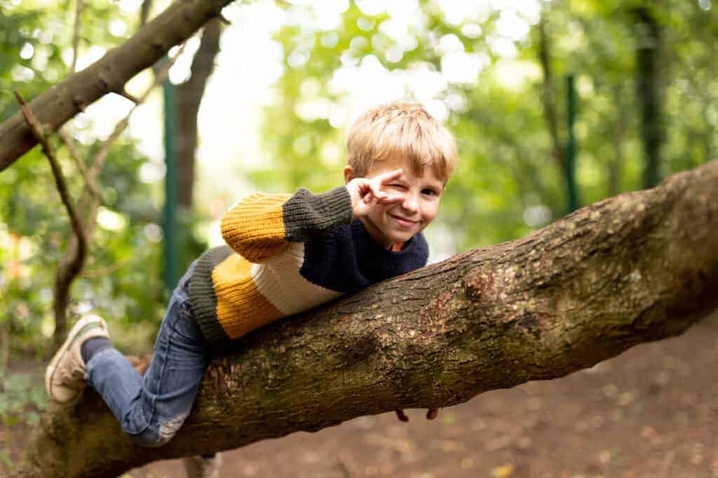 Tree Climbing